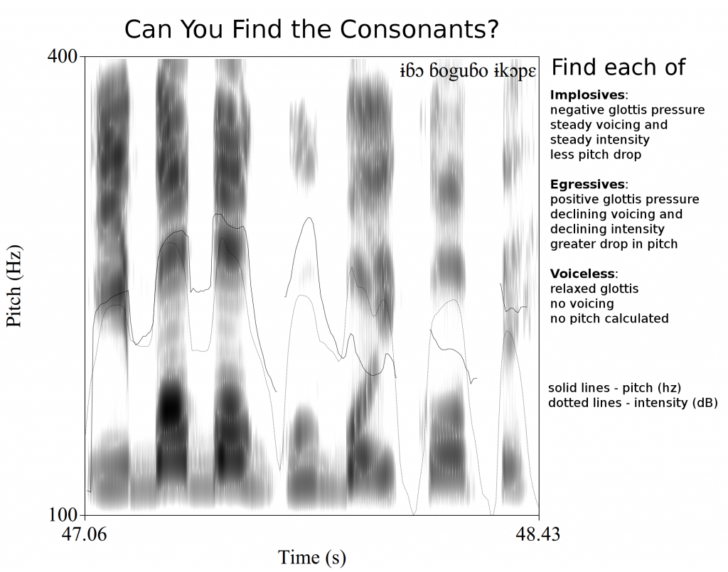 Find the egressive, implosive, and voiceless consonants